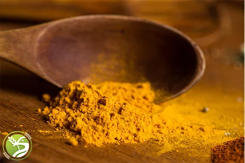 زردچوبه برای کاهش نشانگرهای آسیب کبدی